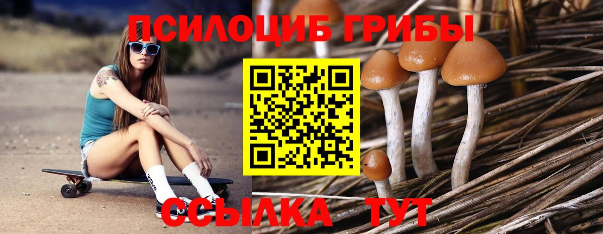Псилоцибиновые грибы Magic Shrooms  Вход с VPN  Артёмовский 